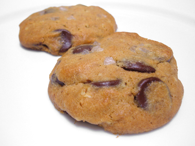 Disappointing Transitional Chocolate Chip Disappointing Transitional Chocolate Chip