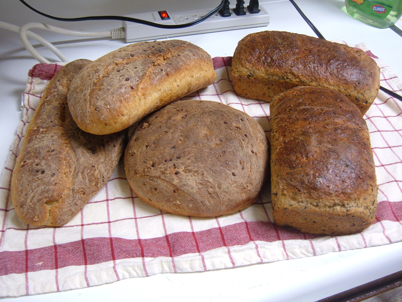 Stuffing: Multigrain Hearth Bread and Glazed Power Bread Stuffing: Multigrain Hearth Bread and Glazed Power Bread