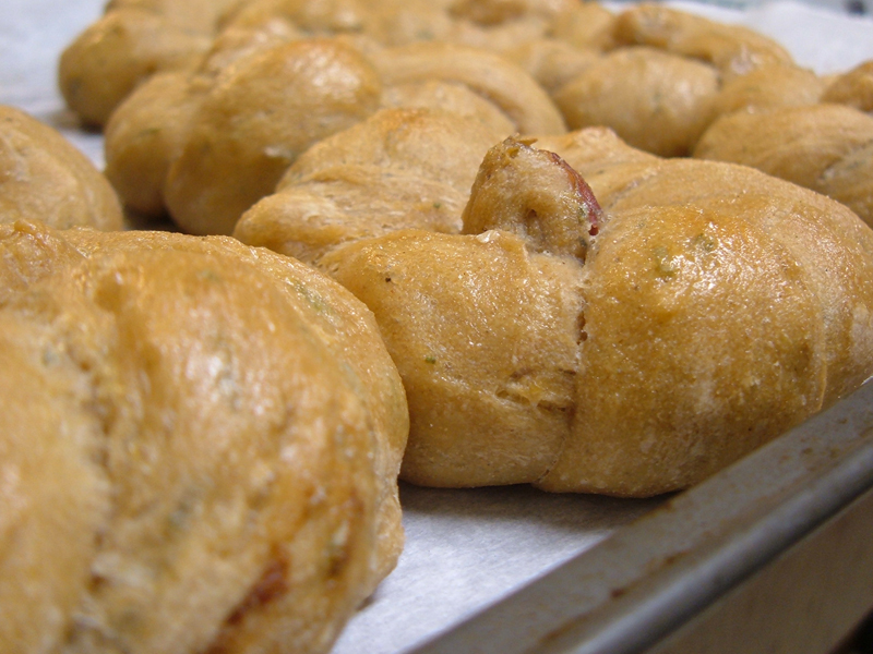 Potato Rosemary Rolls, Fresh Out of the Oven Potato Rosemary Rolls, Fresh Out of the Oven