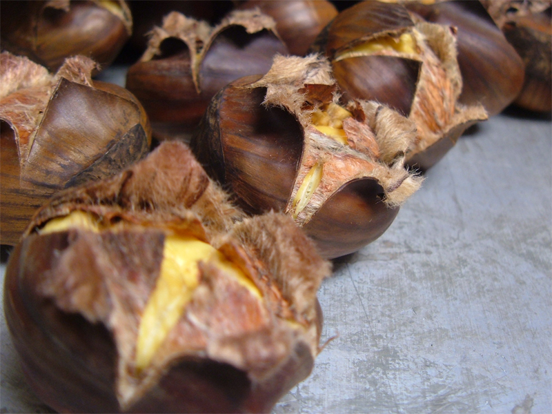 Chestnuts Just Out of the Oven Chestnuts Just Out of the Oven