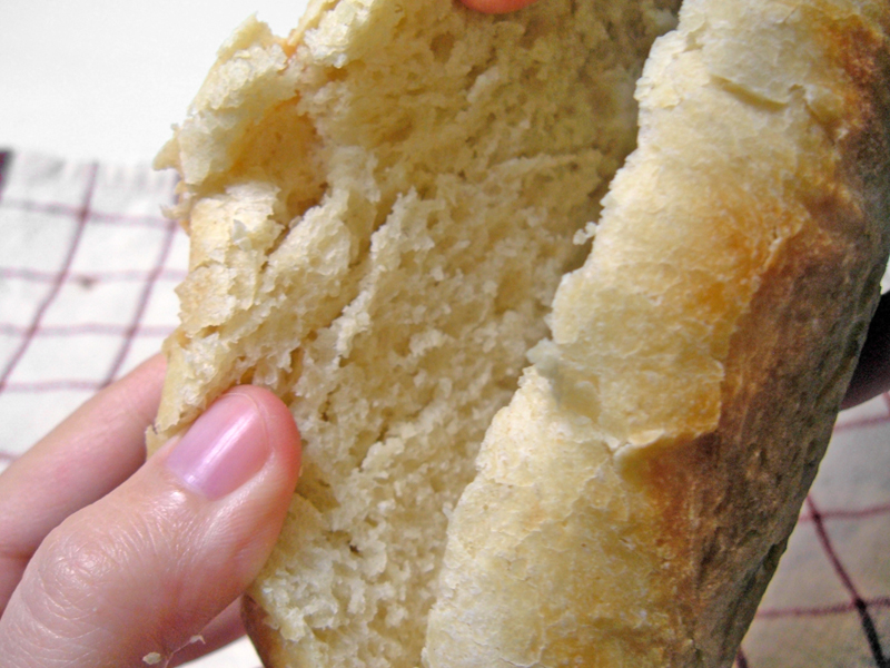 The Crumb (Slightly Smushed by My Grubby Fingers) The Crumb (Slightly Smushed by My Grubby Fingers)