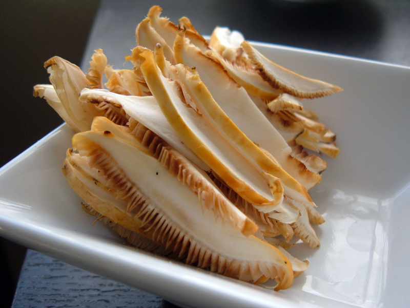 Sukiyaki: Matsutake, or Pine Mushrooms Sukiyaki: Matsutake, or Pine Mushrooms