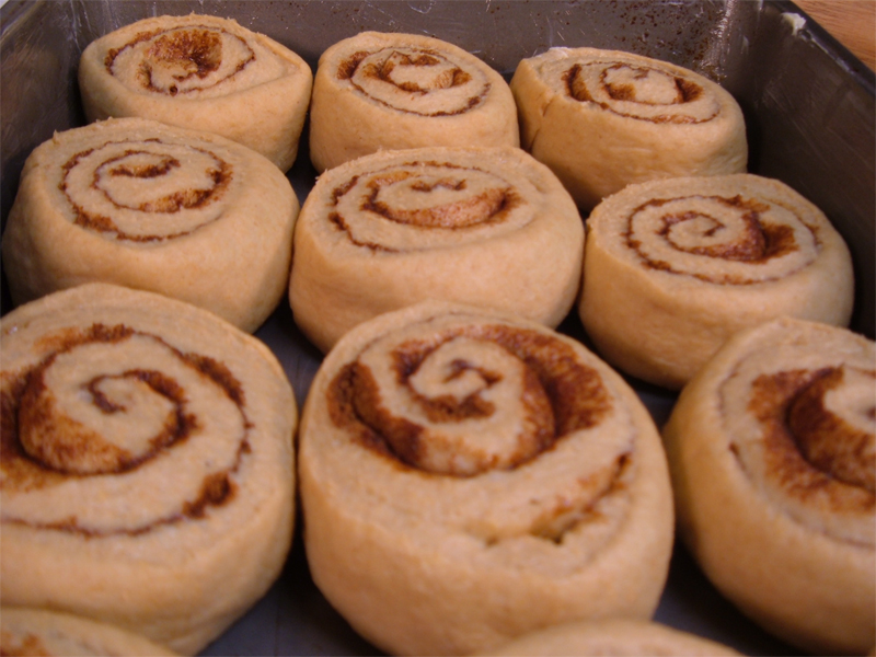Cinnamon Rolls Second Rise Cinnamon Rolls Second Rise